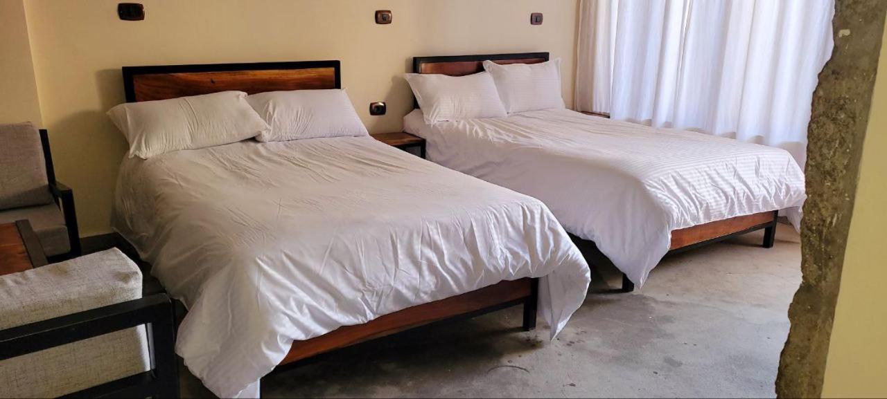 Lalibela Homestay Extérieur photo